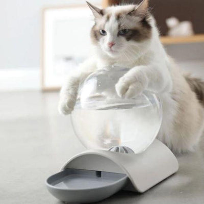 Bebedouro para Gatos - Bubble Drop - Cinza, Azul, Rosa - Tudo Shop