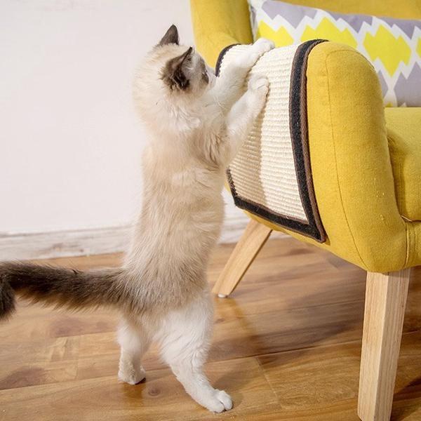 Capa Protetora e Arranhador para Gatos - Scratch Shield - 20x30cm, 30x40cm - Tudo Shop