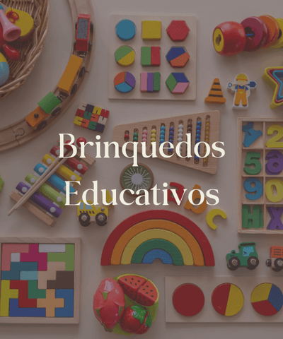 Brinquedos Educativos