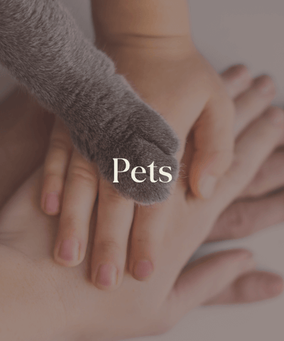 Coleção Pets