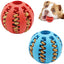 Bolinha Interativa para Cães - Snack Ball - Vermelha / P (5 cm), Azul / P (5 cm), Verde / P (5 cm) - Tudo Shop