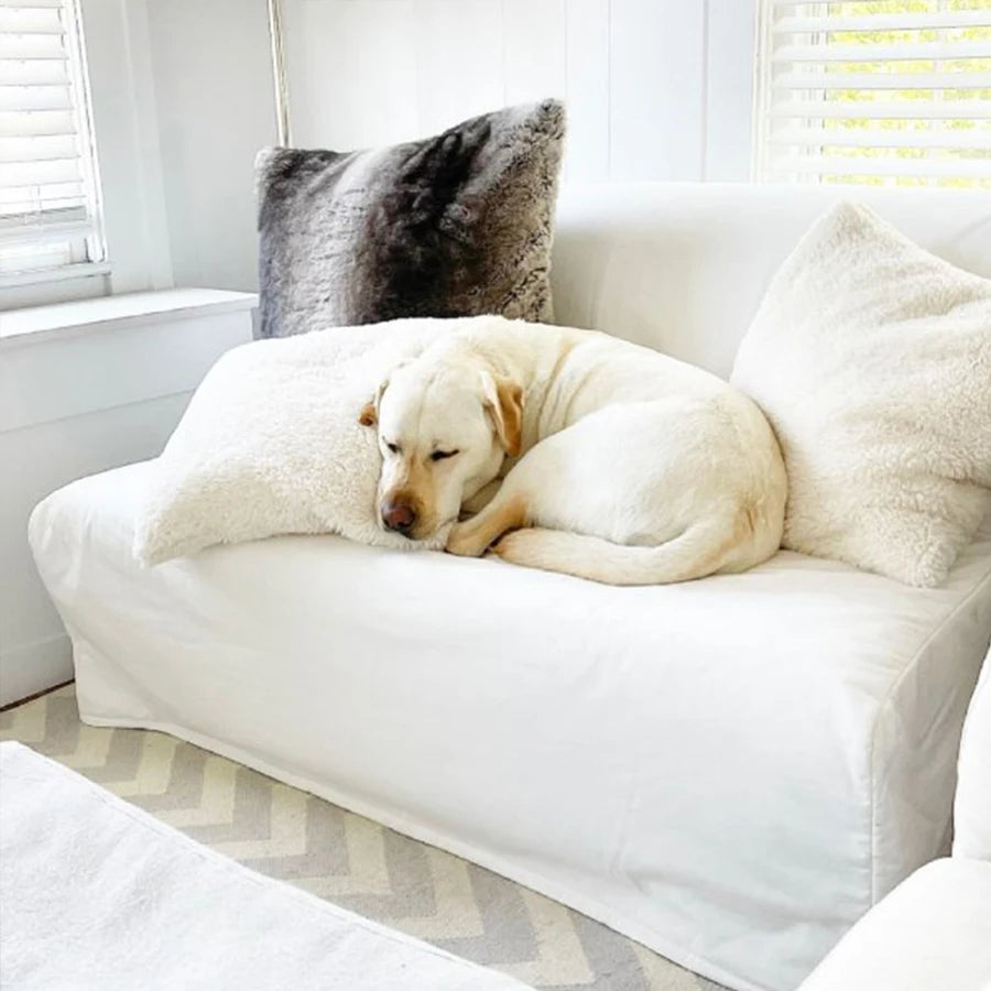 Almofada Decorativa Para Sala de Estar - Teddy Pillow - Almofada Azul Marinho / 30x50cm, Almofada Azul Marinho / 45x45cm, Almofada Azul Marinho / 50x50cm, Almofada Azul / 30x50cm, Almofada Azul / 45x45cm, Almofada Azul / 50x50cm, Almofada Azul Claro / 30x50cm, Almofada Azul Claro / 45x45cm, Almofada Azul Claro / 50x50cm, Almofada Rosa / 30x50cm - Tudo Shop