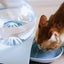 Bebedouro para Gatos - Bubble Drop - Cinza, Azul, Rosa - Tudo Shop