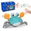 Caranguejo com Sensor de Obstáculos - DashCrab - Azul, Amarelo - Tudo Shop