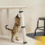 Capa Protetora e Arranhador para Gatos - Scratch Shield - 20x30cm, 30x40cm - Tudo Shop
