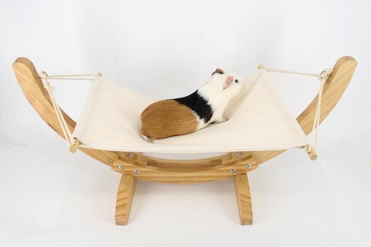 Mini Rede para Gatos - Kitten Paradise - Default Title - Tudo Shop